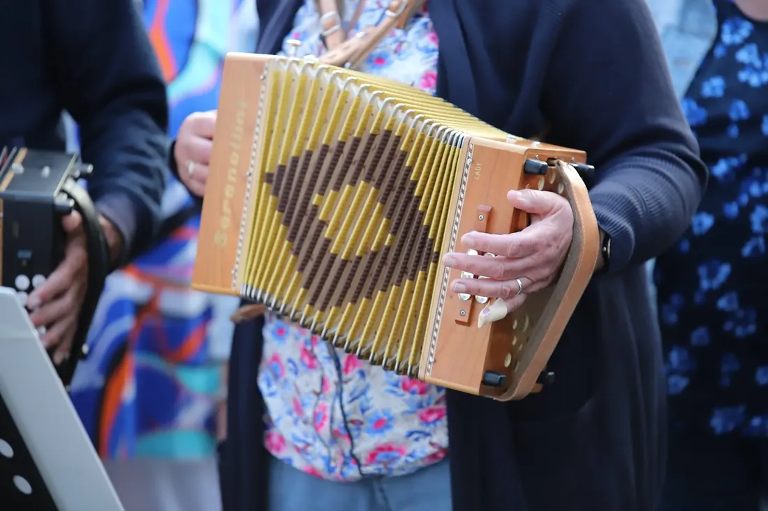 Choir on the pont: The accordion bellows up close