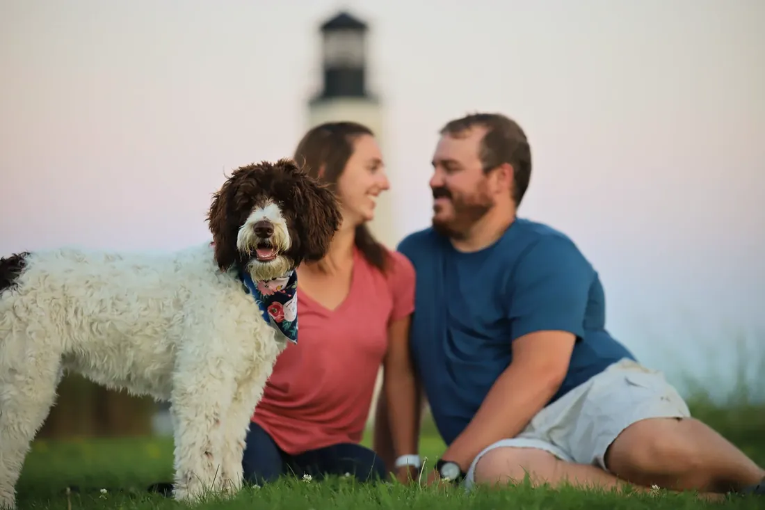 The dog in focus, the couple behind