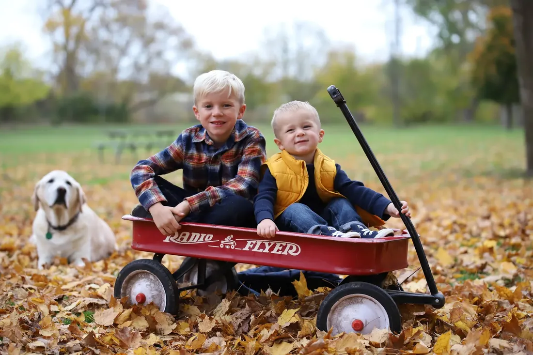 Two brothers in the wagon, the dog keeping watch