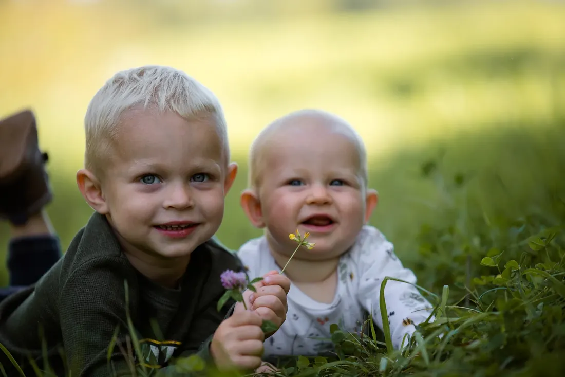 Brothers in the grass with a clover flower