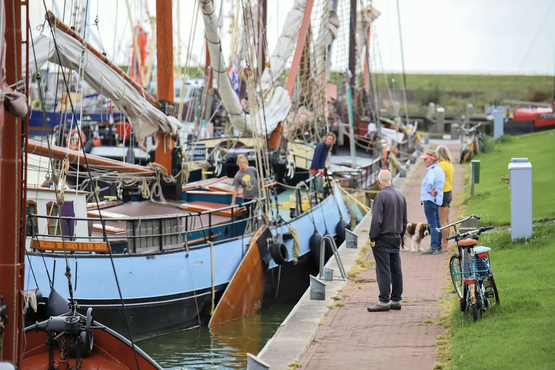 Old sailing barges moored along the grass