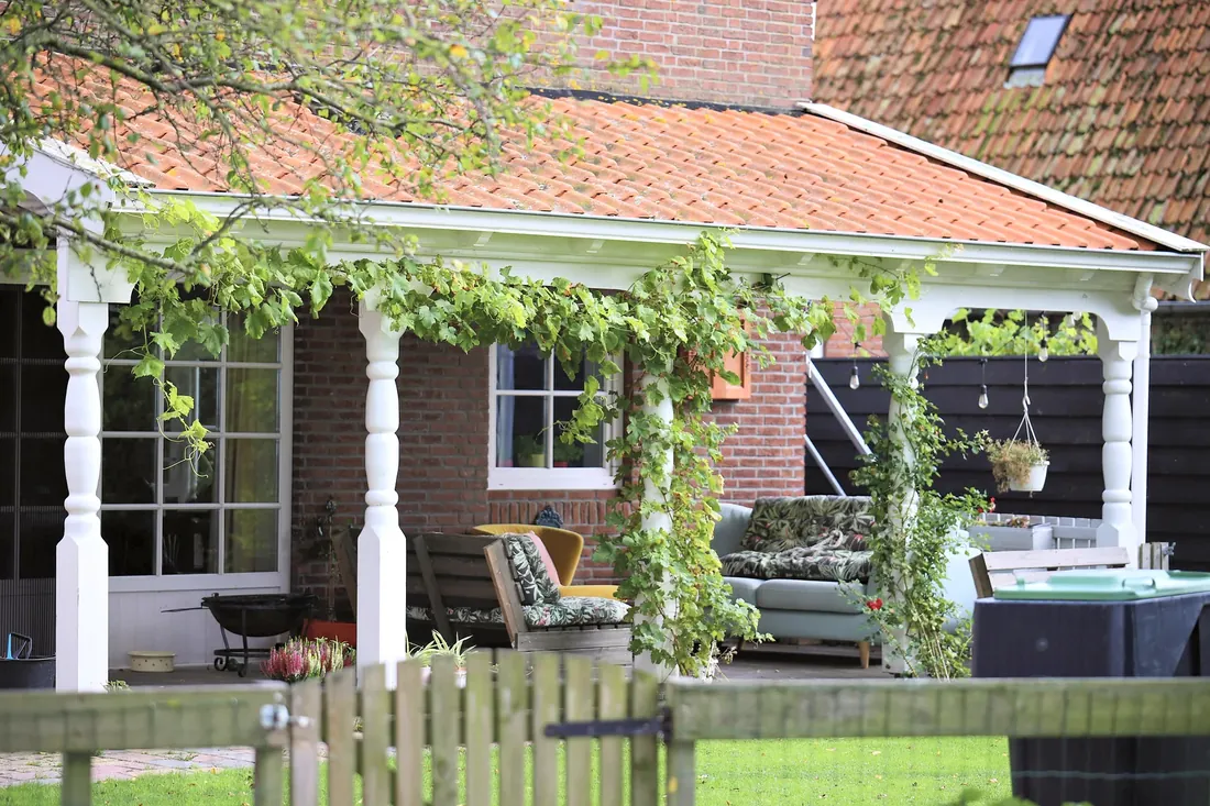 A porch under a climbing vine