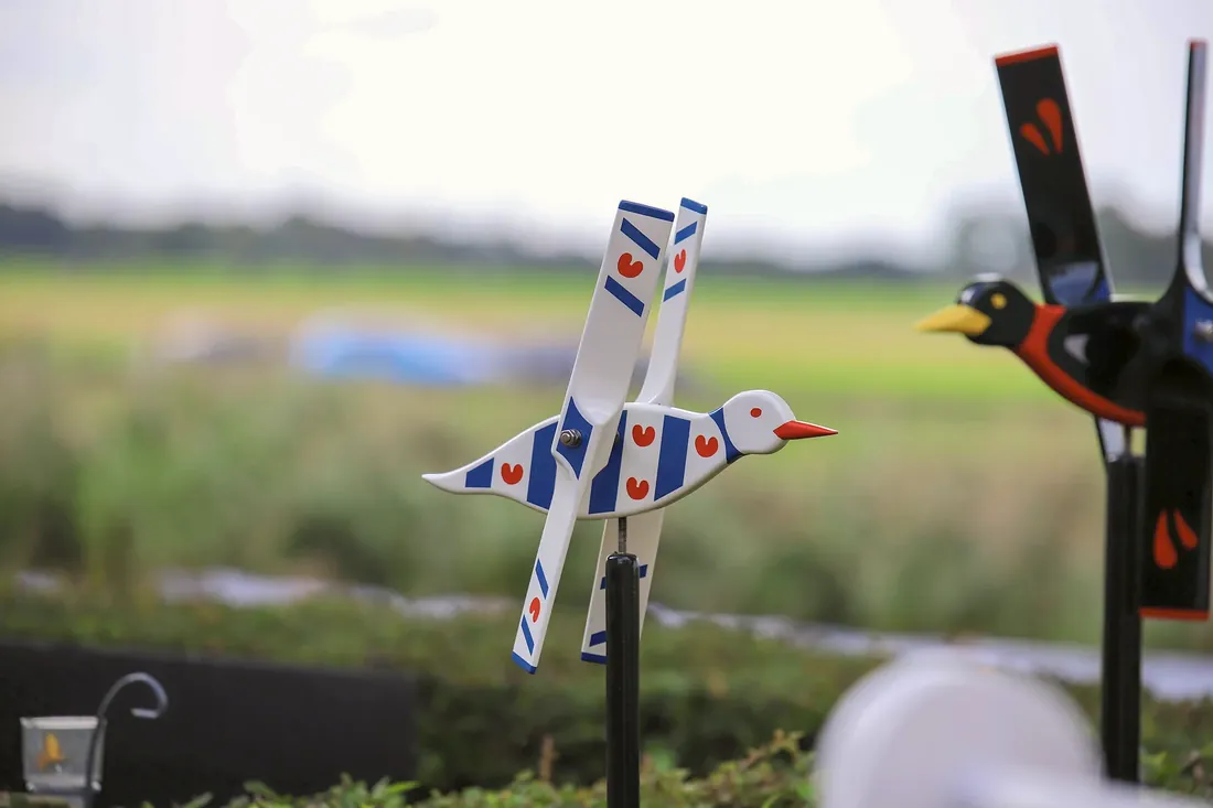 Garden whirligigs in the colours of the Frisian flag