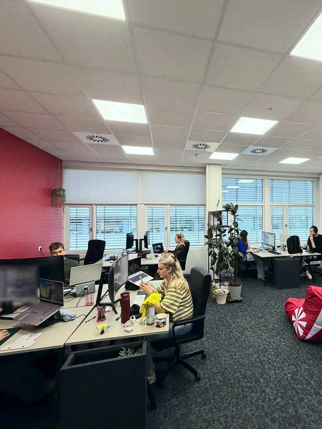 The same room in September: a red wall, plants and members working at their desks