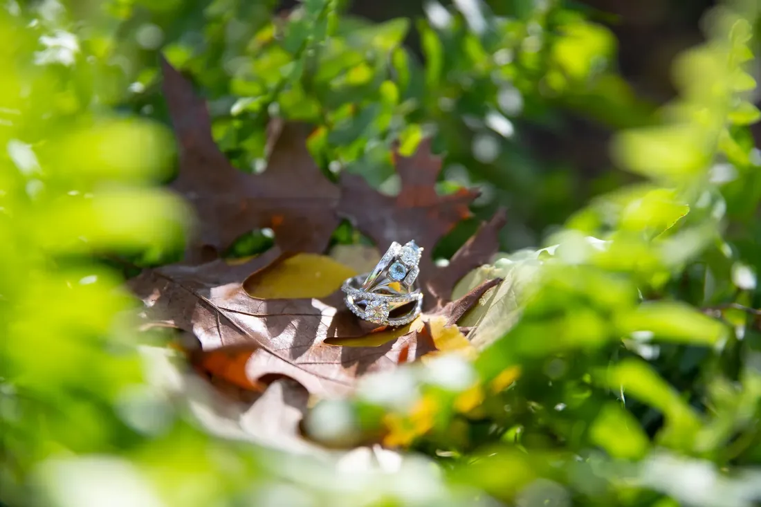 Cece & Erica: the rings, resting on a fallen leaf