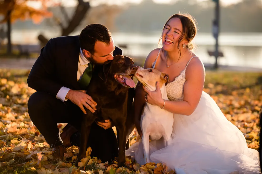 The Cox family: kneeling in the leaves with the dogs
