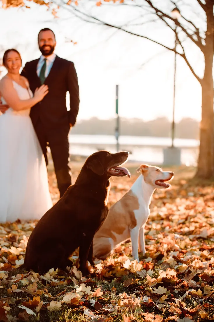 The Cox family: the 2 of them and their 2 dogs by the water