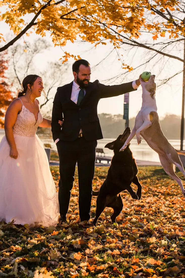 The Cox family: a ball in the air and a dog mid-jump