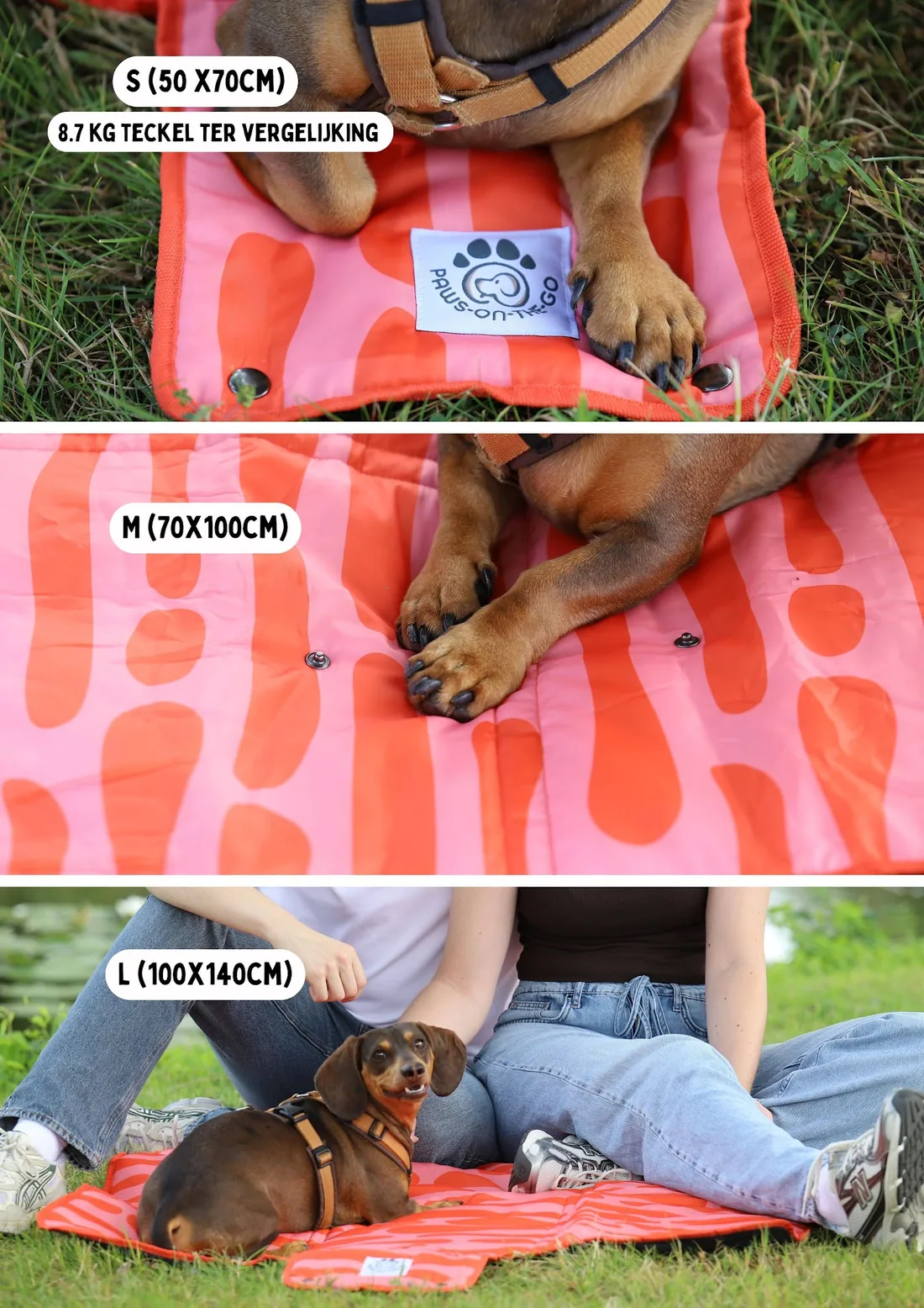 Feature board: the 3 sizes, with an 8.7 kg dachshund for scale