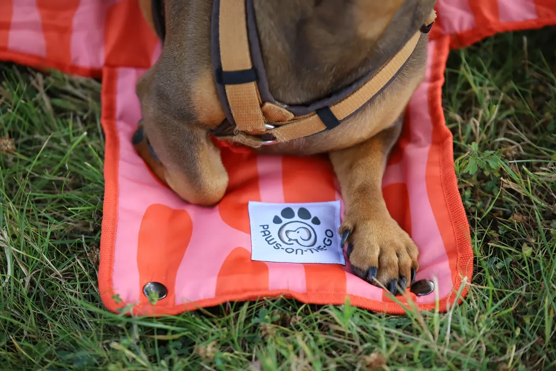 2 paws next to the label on the coral mat