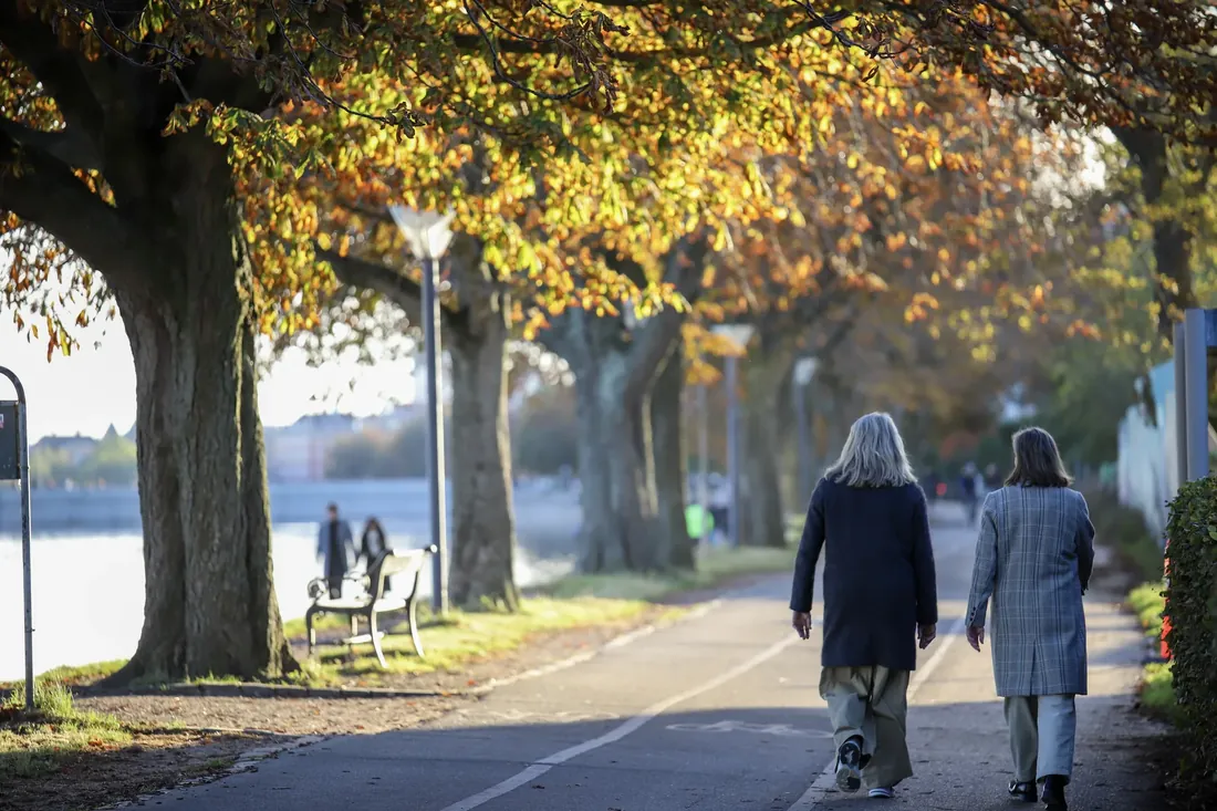 A walk along the water under yellow trees