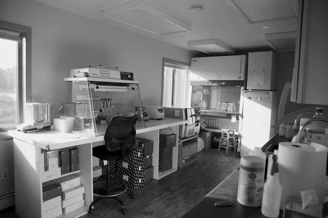 The lab in morning light