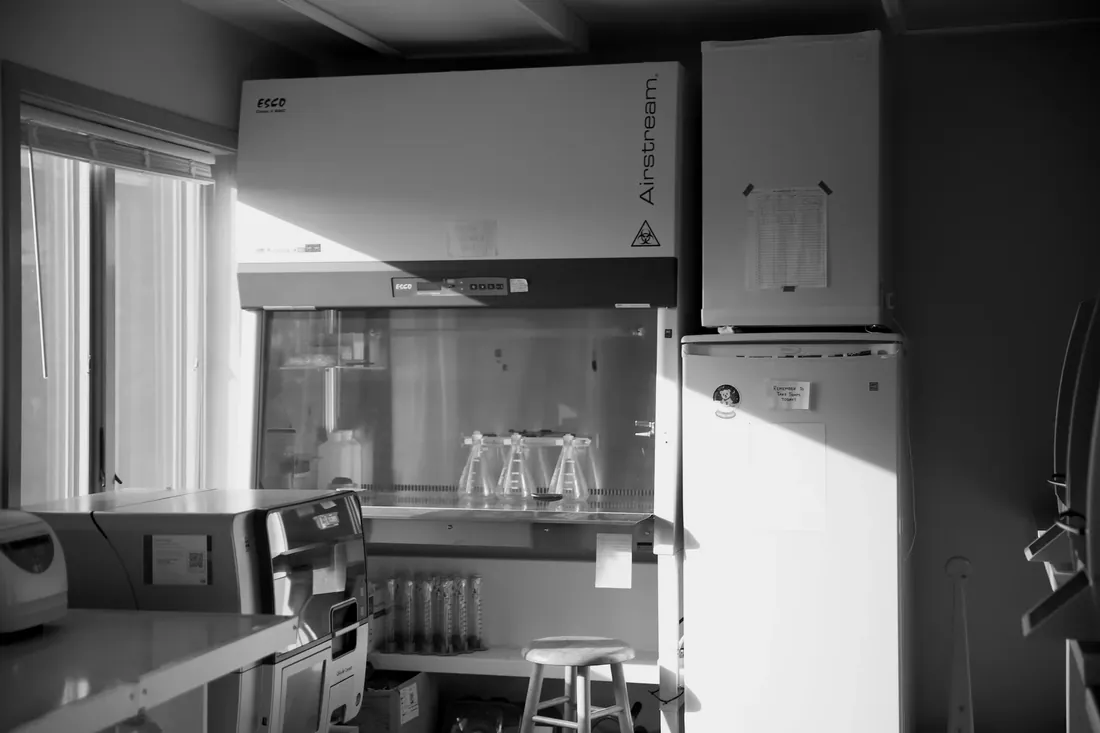 Sun across the biosafety cabinet
