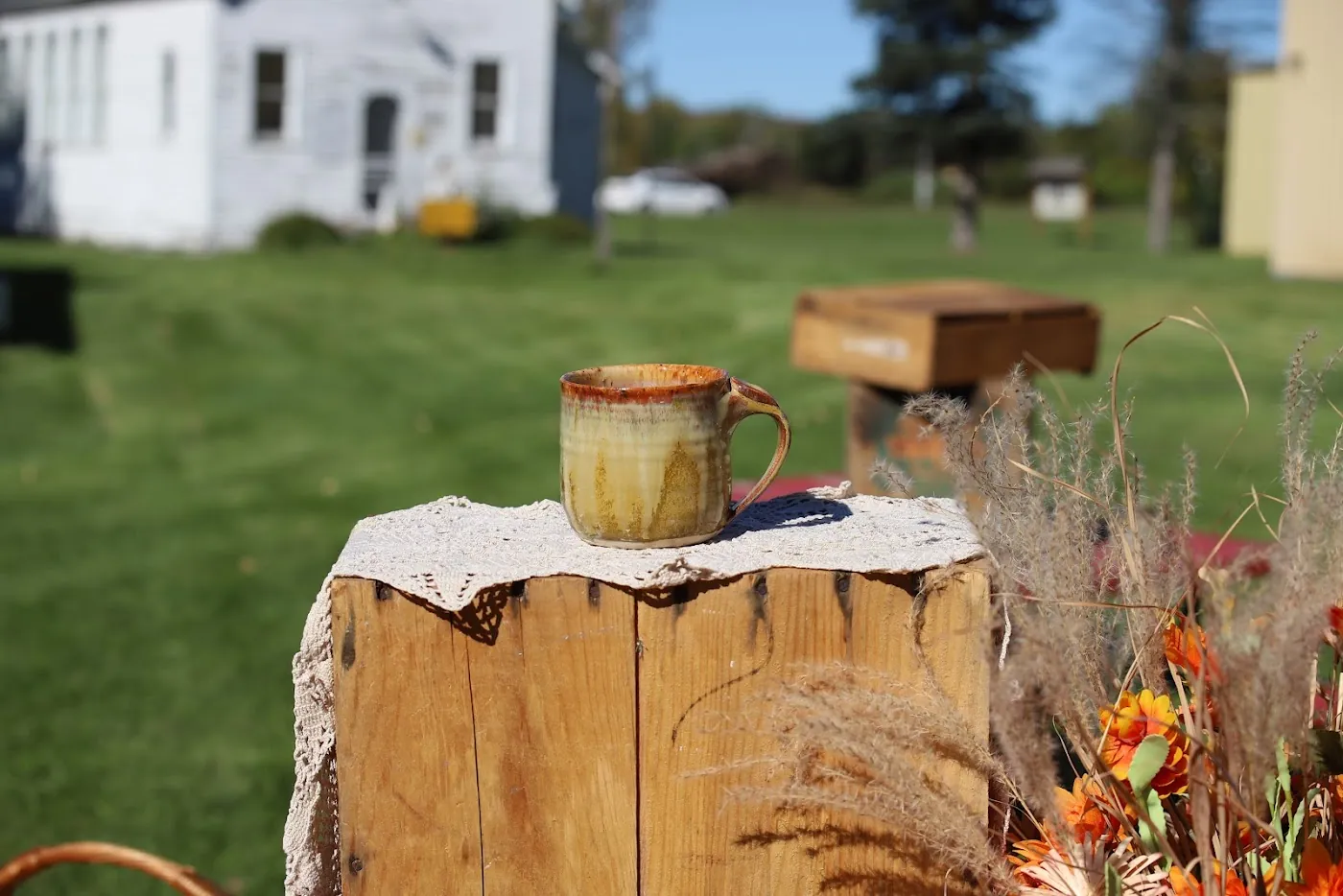A small mug on a lace-covered stump in a sunny yard, with a white house behind